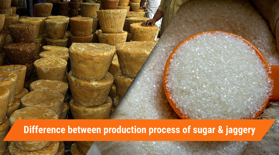 Difference between production process of sugar and jaggery